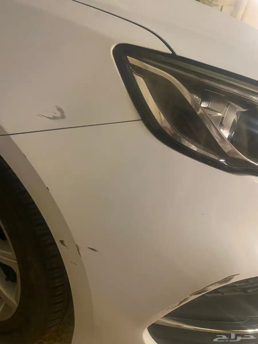 جيلي بينراي 2021 29