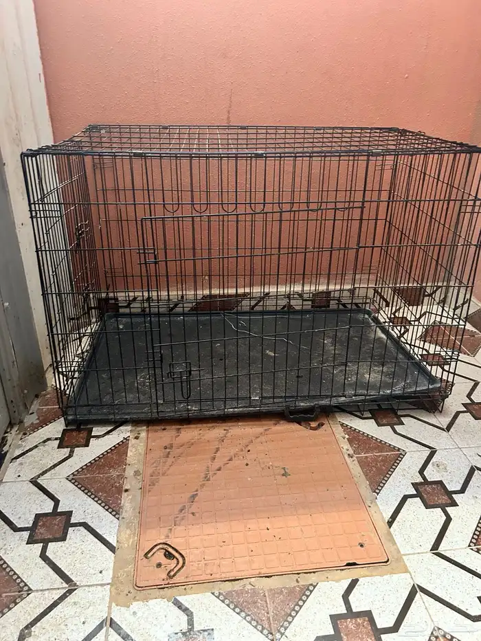 شبك حيوانات مثل دجاج وجميع الحيوانات 2