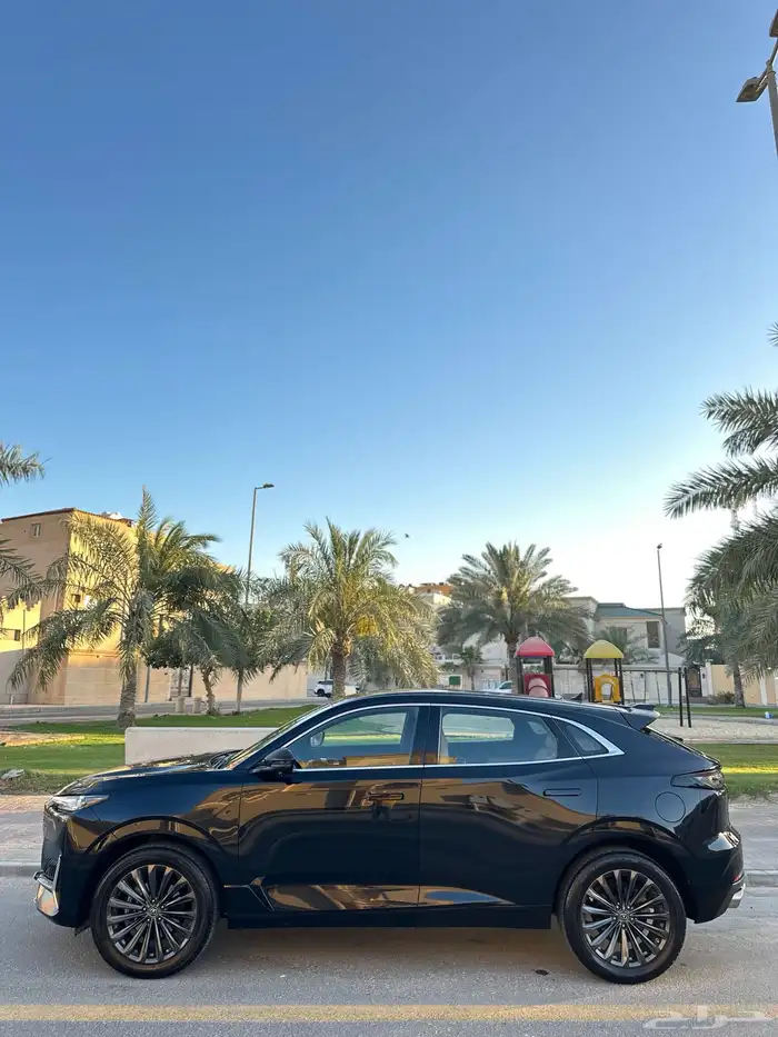 شانجان يوني كي وارد المجدوعي 2023 43