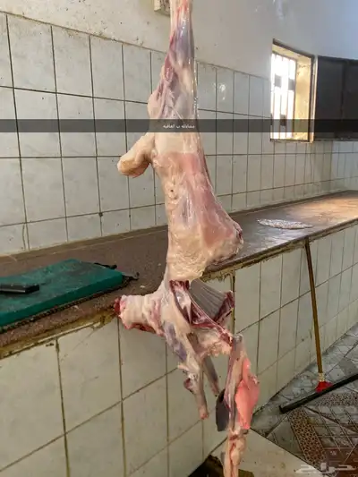 يوجد ذبايح على طلب مع توصيل 4