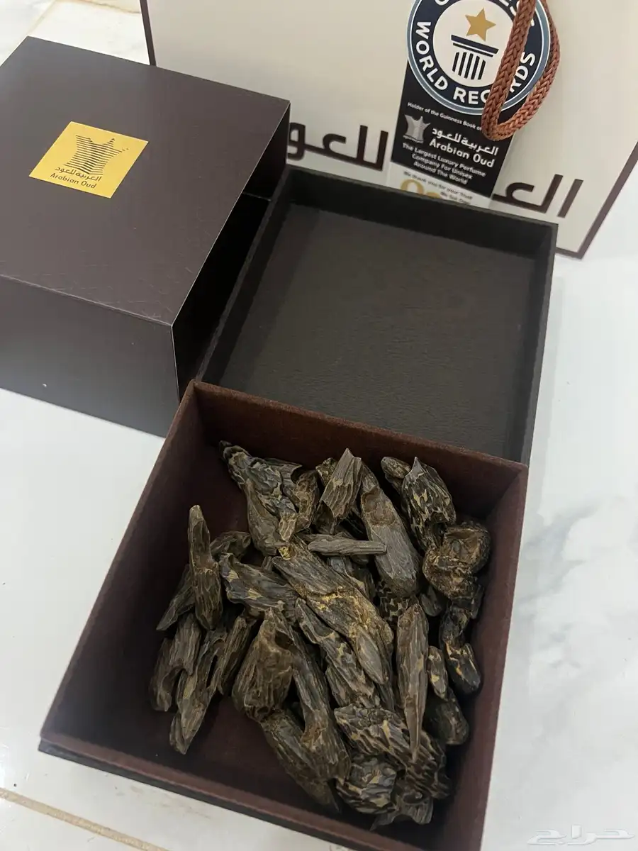 عود كلمنتان سوبر العربية للعود 1