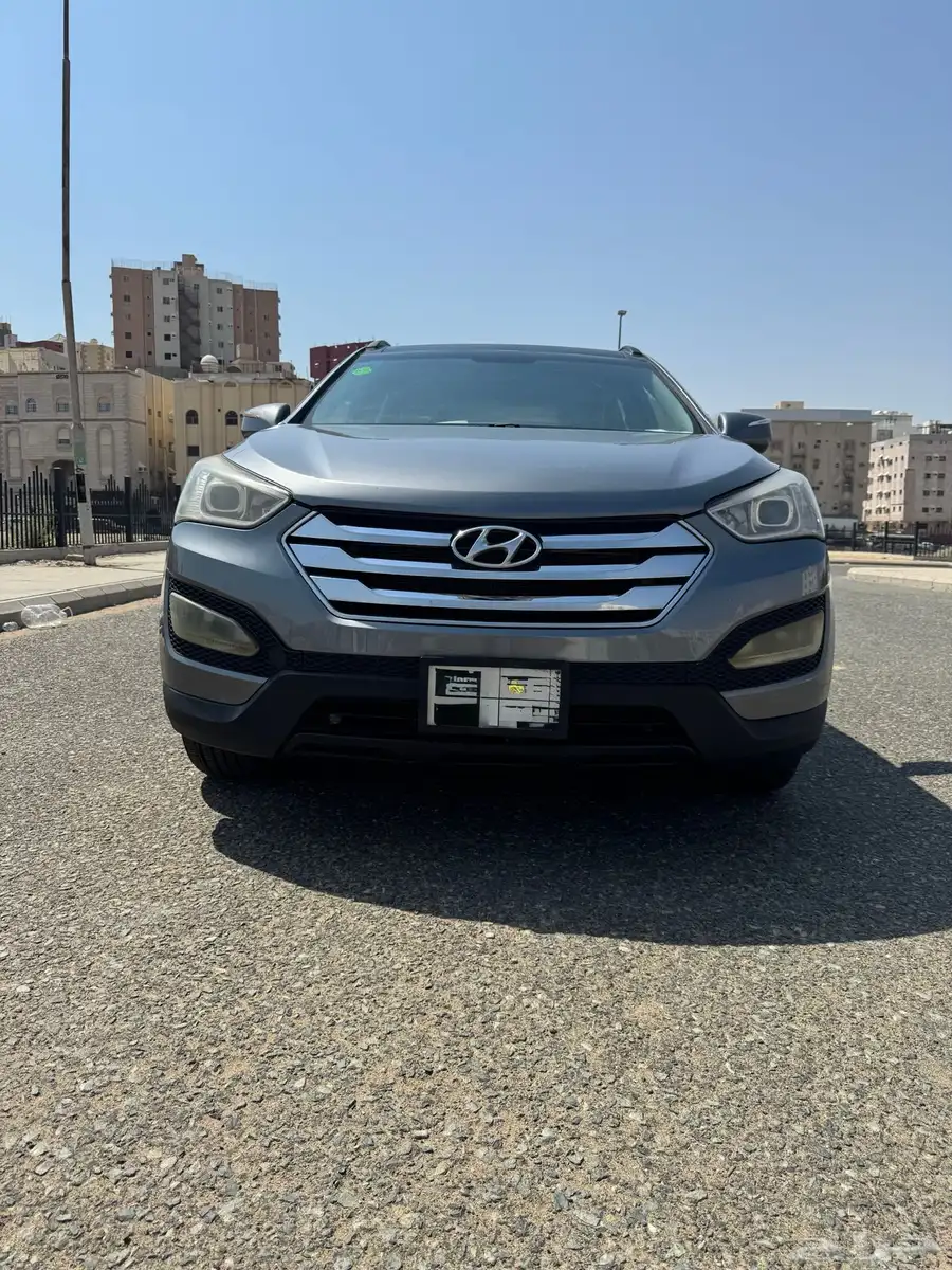 سنتافي 2013 1
