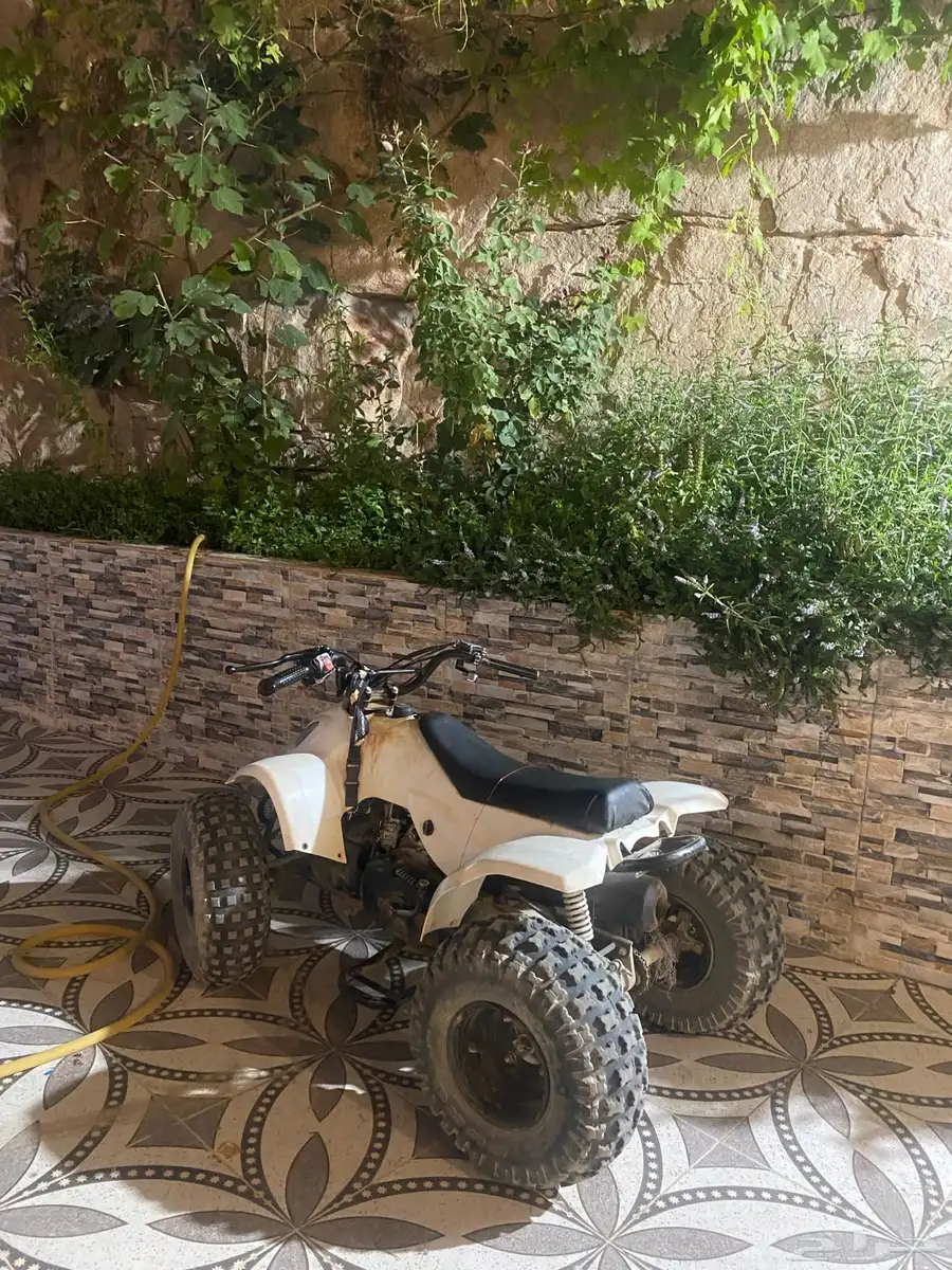 دباب رام للبيع 1