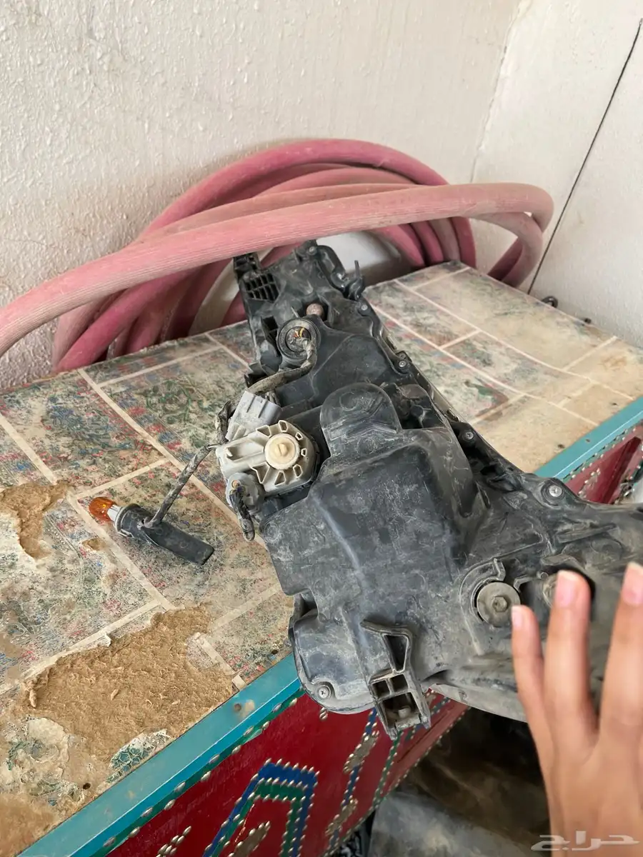 نور كرلا 1