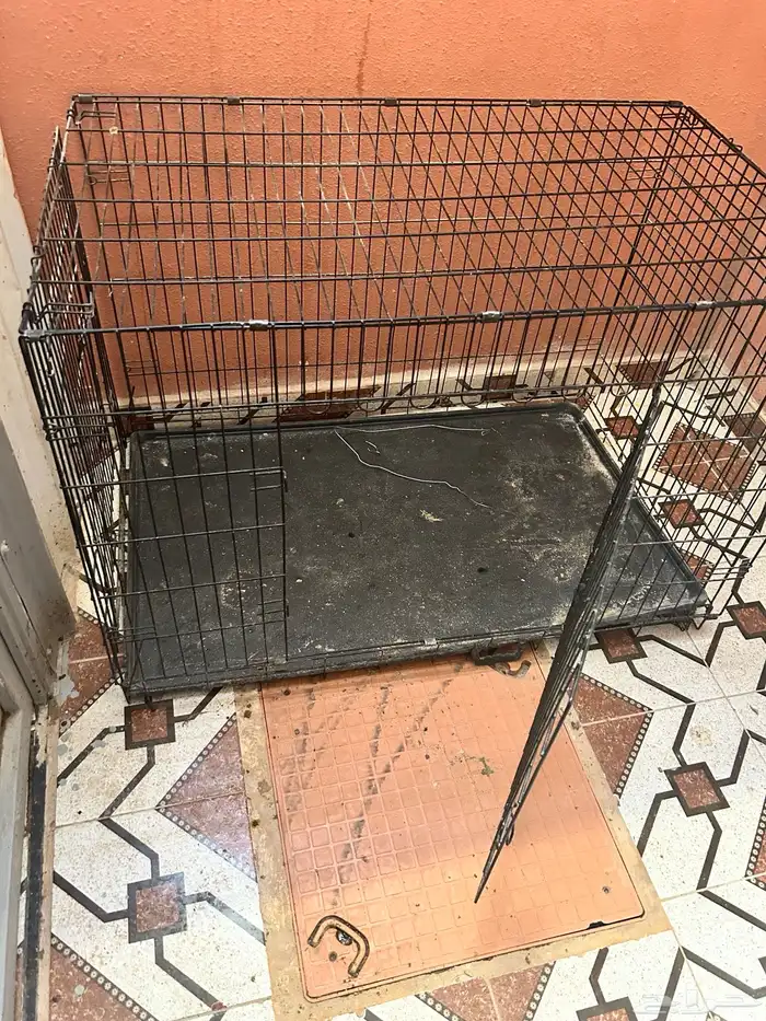 شبك حيوانات مثل دجاج وجميع الحيوانات 0