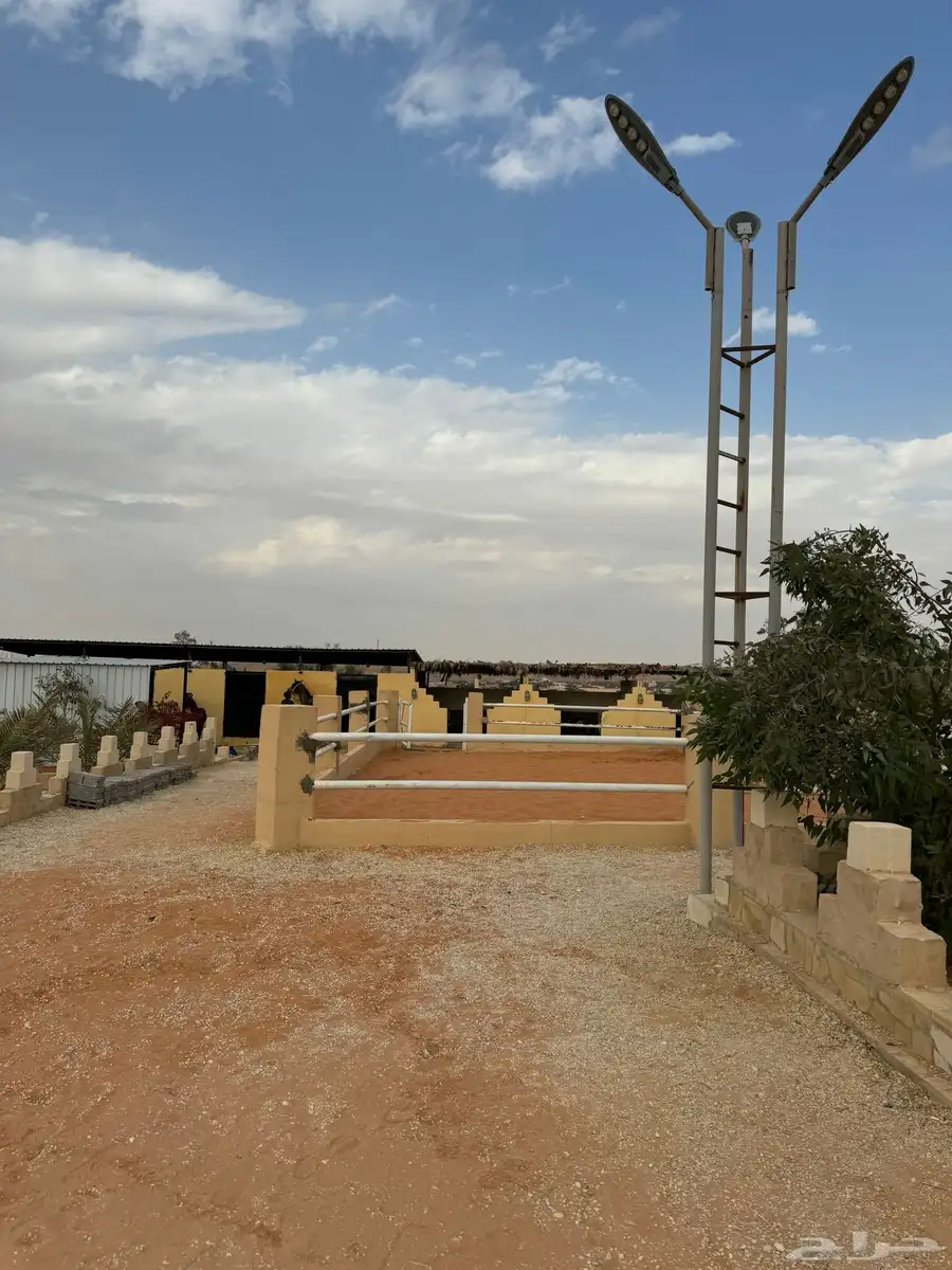 مربط الزبارة ايوا عسف 6