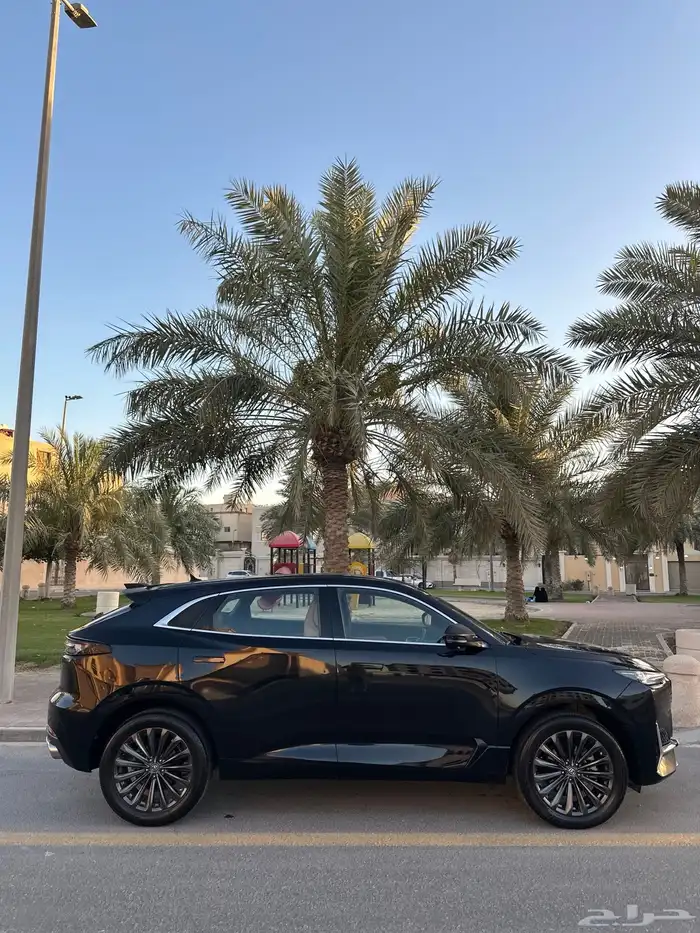 شانجان يوني كي وارد المجدوعي 2023 24