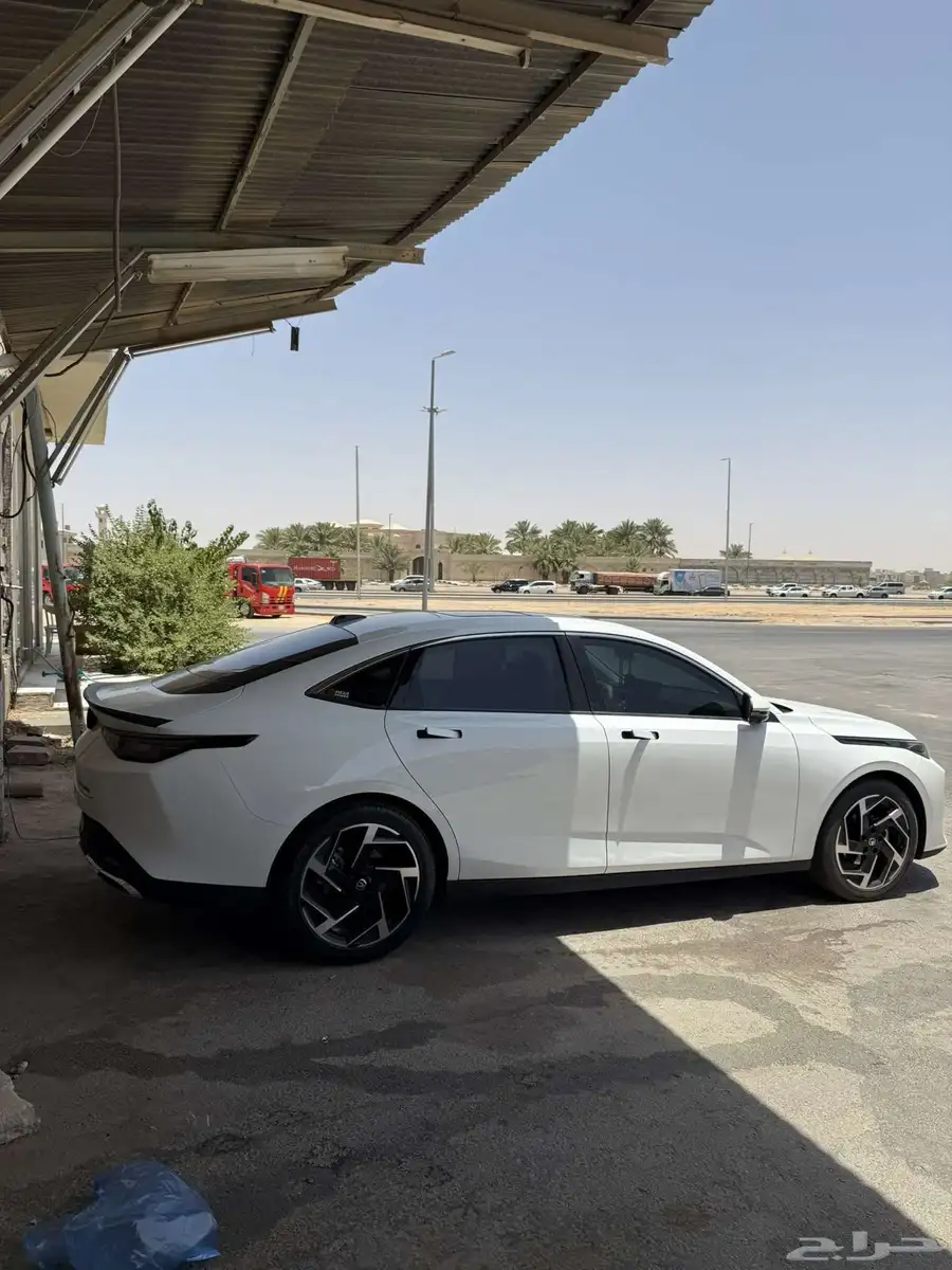 شنجان ايدو ليمتد 2025 0