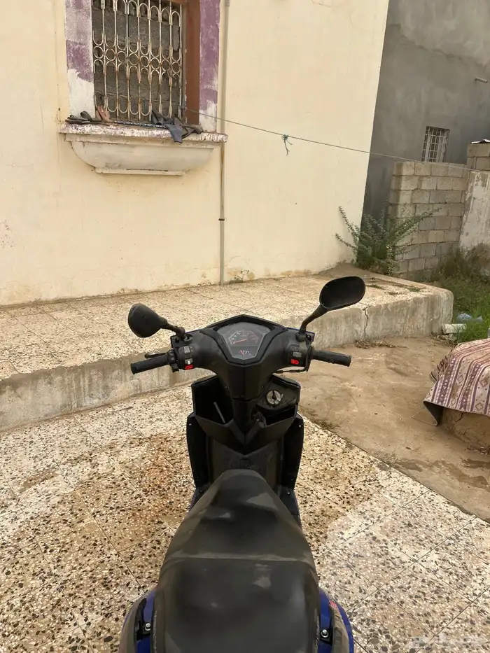 دباب بطه للبيع 3