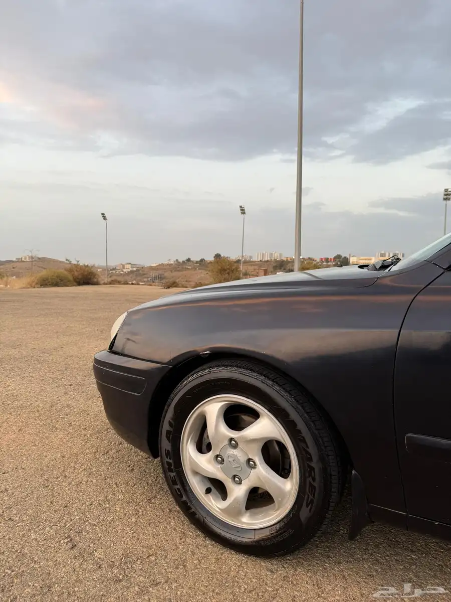 النترا 2005 15