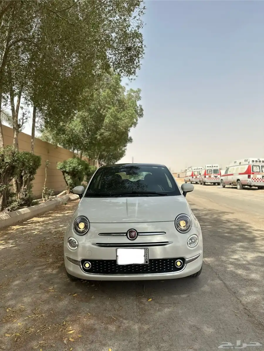 فيات 2024 1