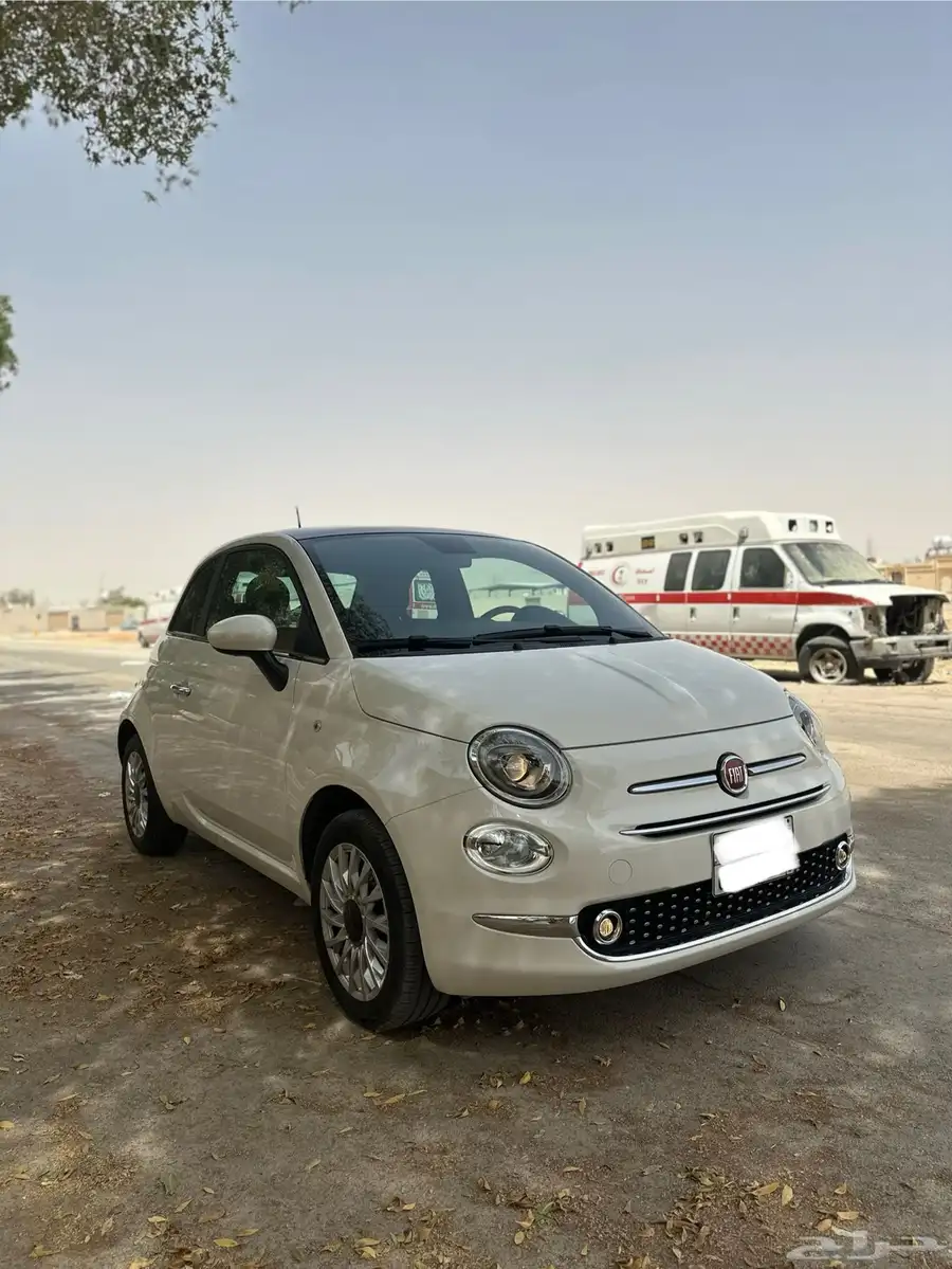 فيات 2024 2
