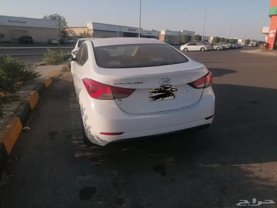 النترا 2016 1