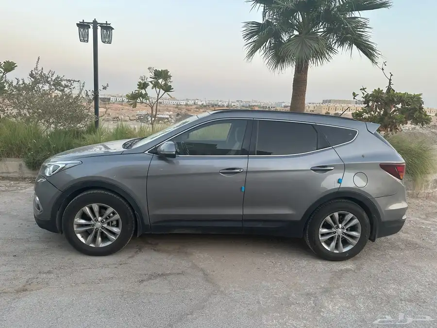 سنافيه 2016 1