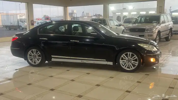 جنسس 2010 4