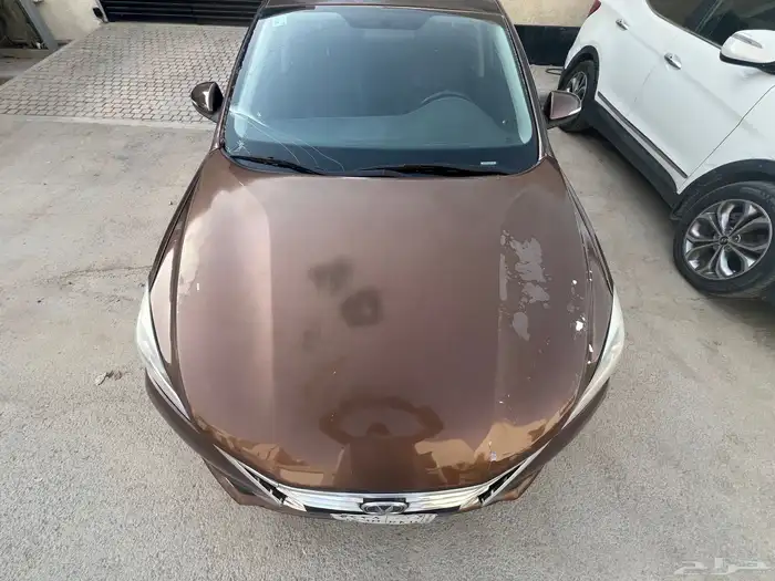 شانجان ايدو 2020 9