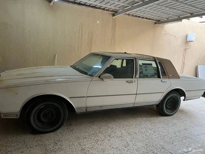 كابرس 1990 لوحة رن ى 511 2