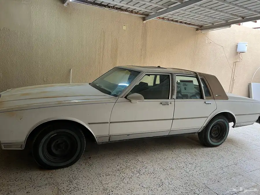 كابرس 1990 لوحة رن ى 511 2
