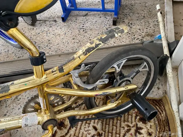 سيكل كوبرا ذهبي مافيه اي ضرر السعر 150 5