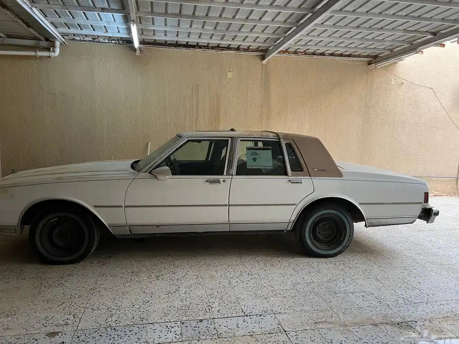 كابرس 1990 لوحة رن ى 511 3