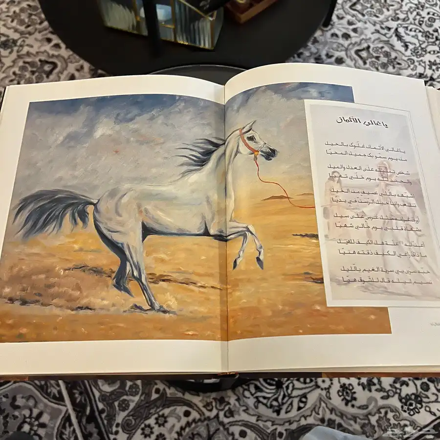 كتاب الشاعر خالد الفيصل 1