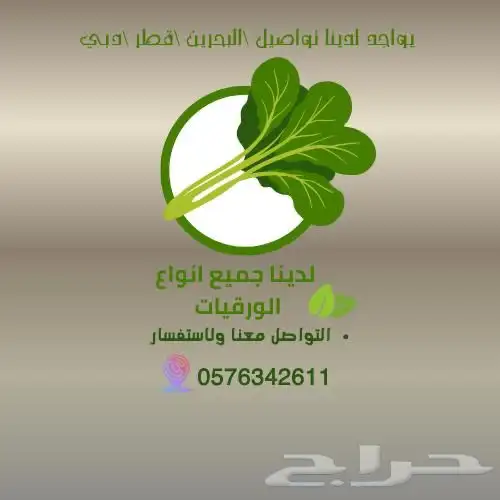 ورقيات جميع انواع الورقيات 0