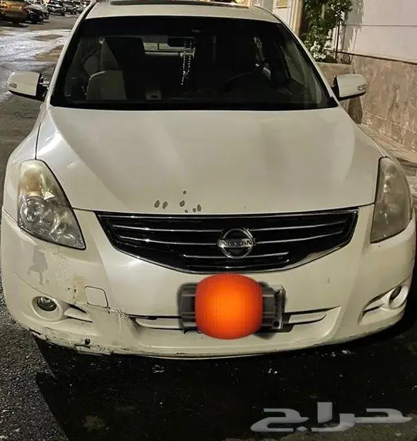 التيما 2010 4