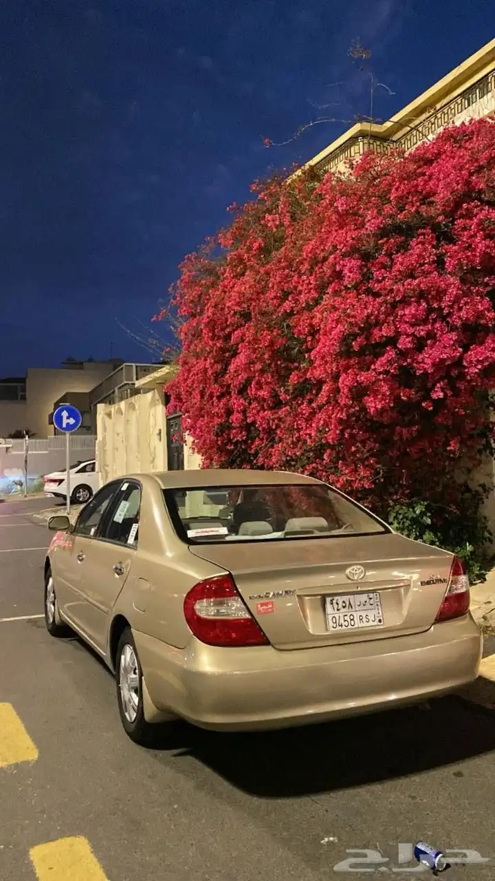 خميس مشيط 1