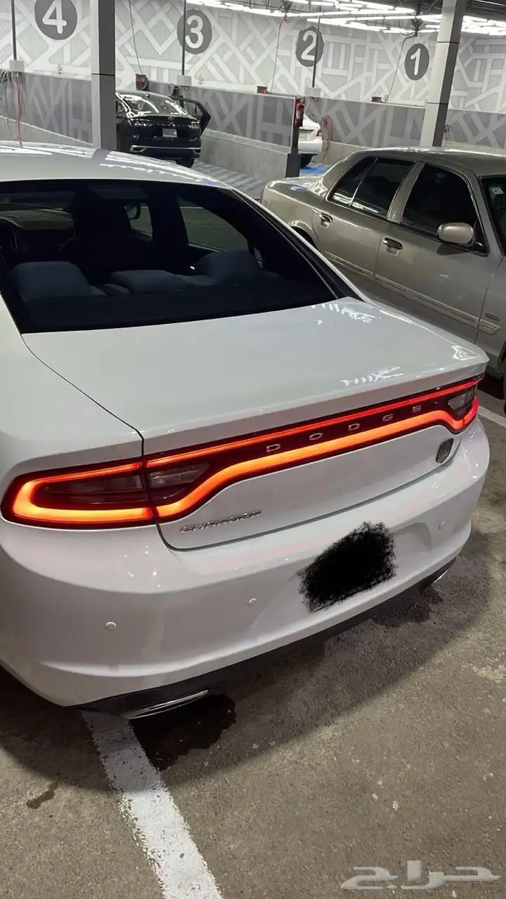 دوج تشاجر 4