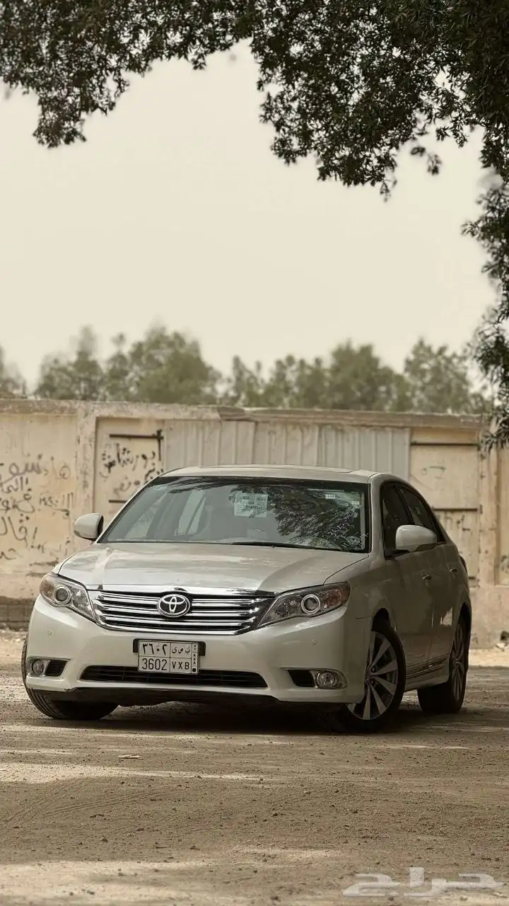 أفالون 2011 4