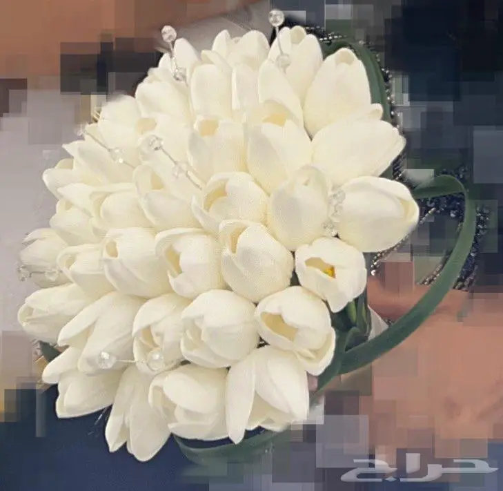مسكة عروس 0
