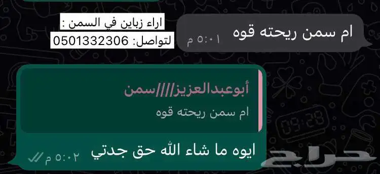 سمن بقر 7
