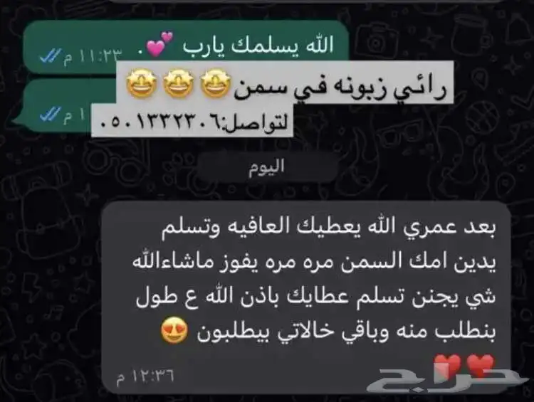 سمن بقر 12