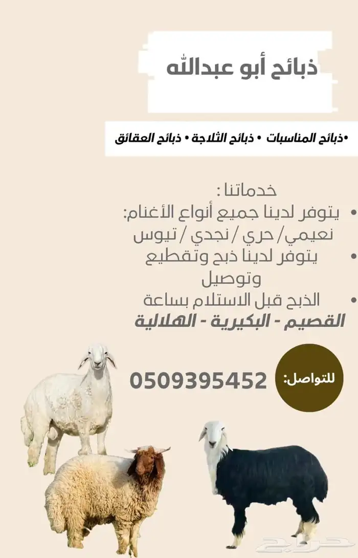 يتوفر ذبائح 0