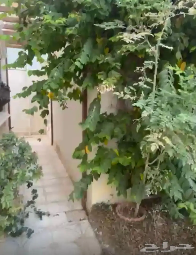 فيلا مميزه للبيع حي النزهه 4