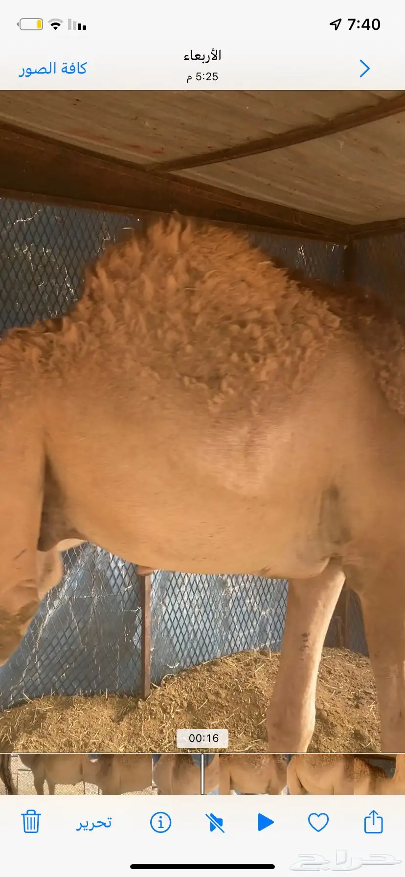 قعود حق 2