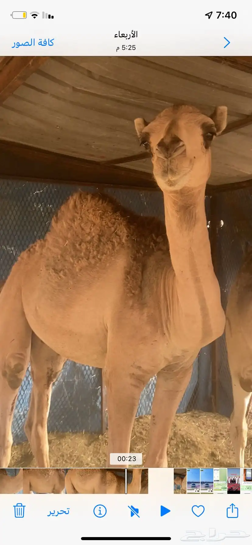 قعود حق 0
