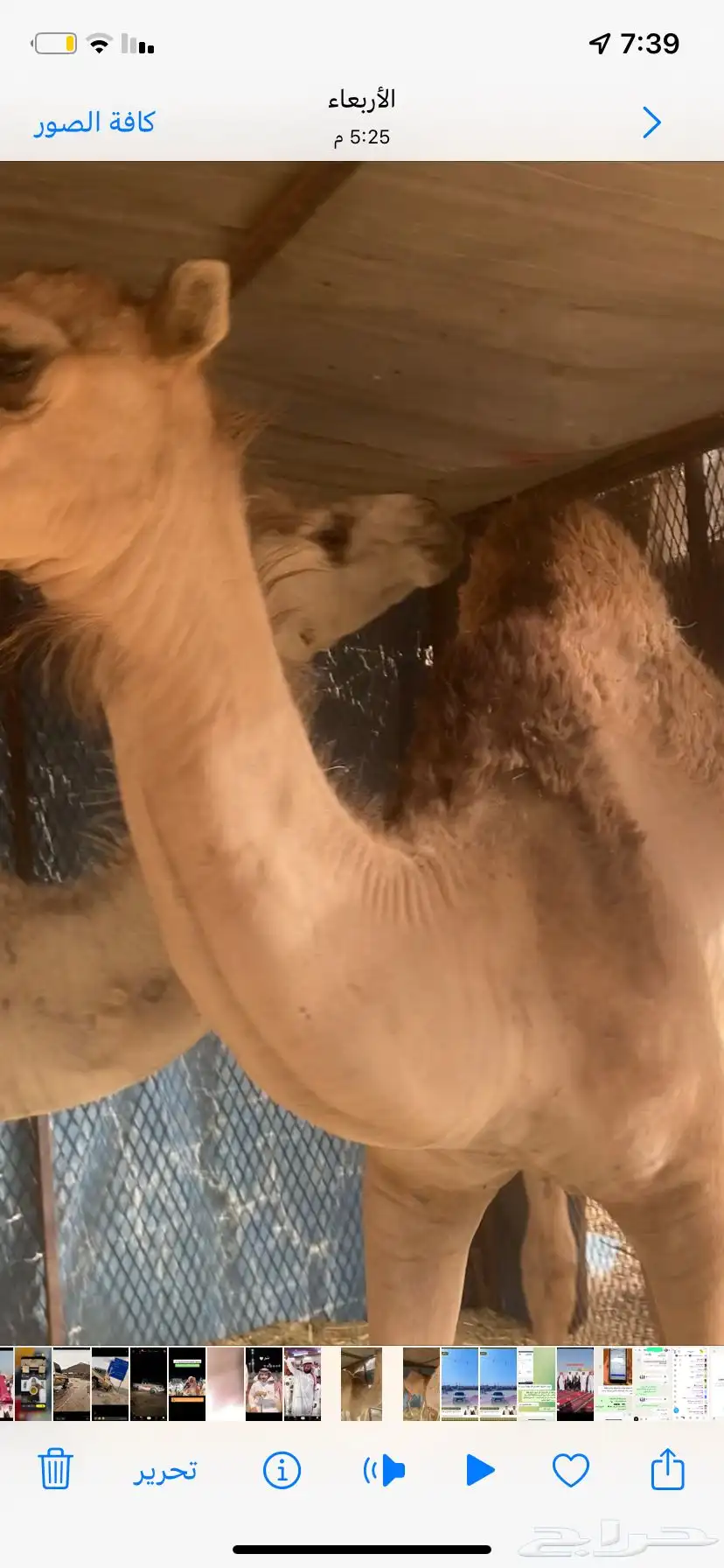 قعود حق 3