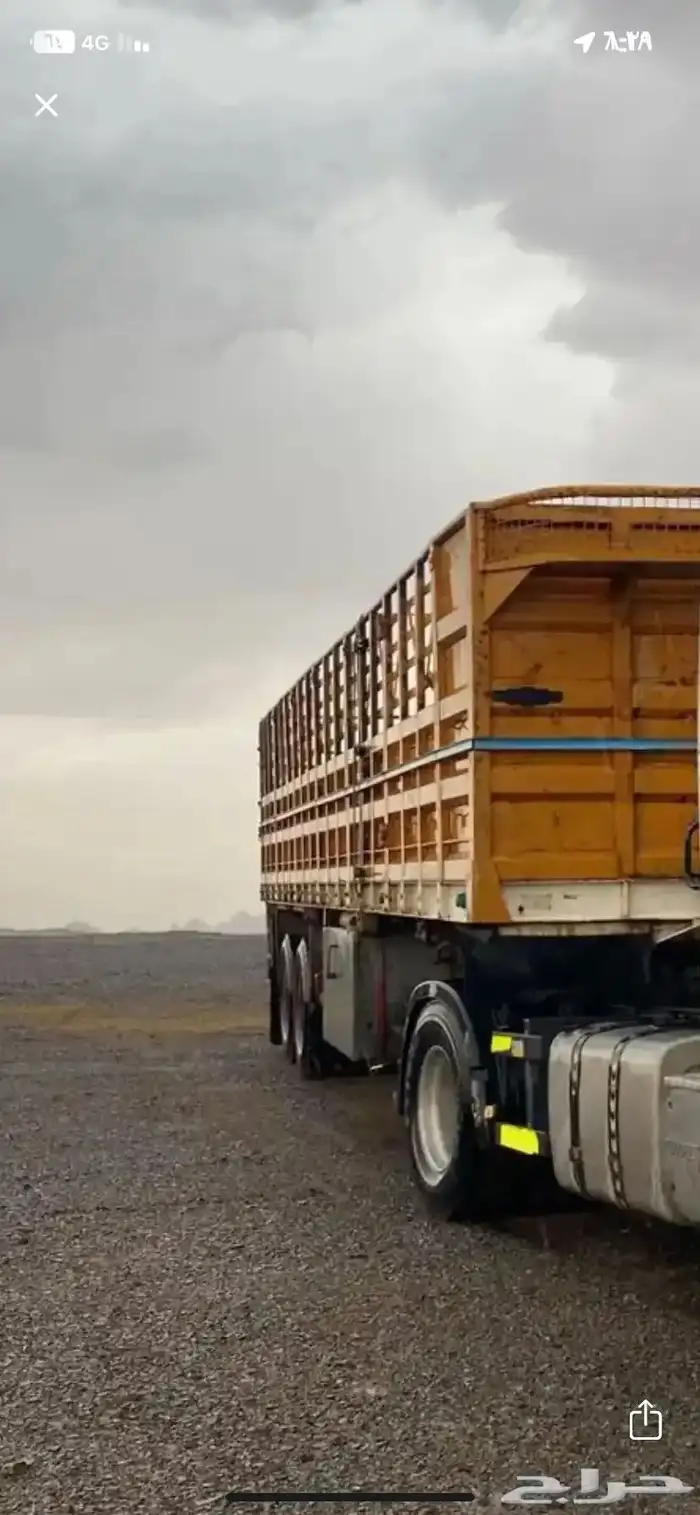 تيدر جوانب نقل الابل والحلال 0