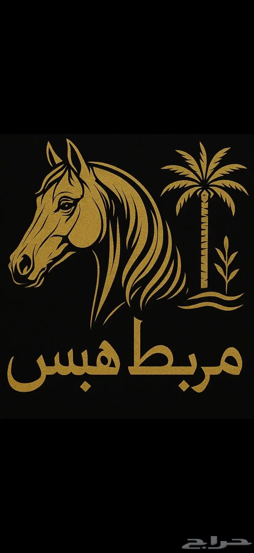 عسف خيل 0