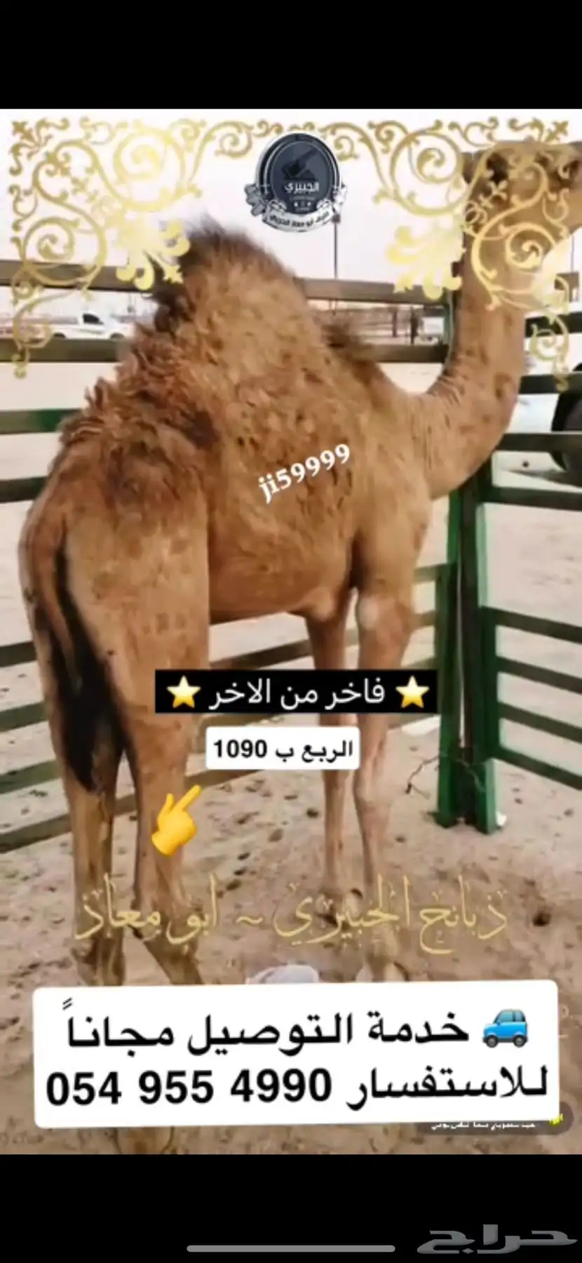 حوار فاخر من الاخر 0