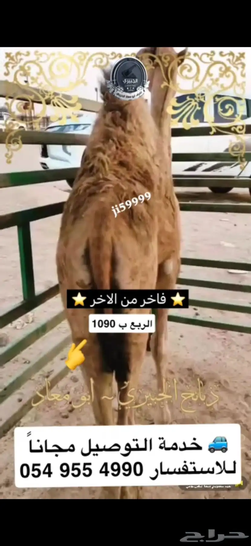 حوار فاخر من الاخر 1