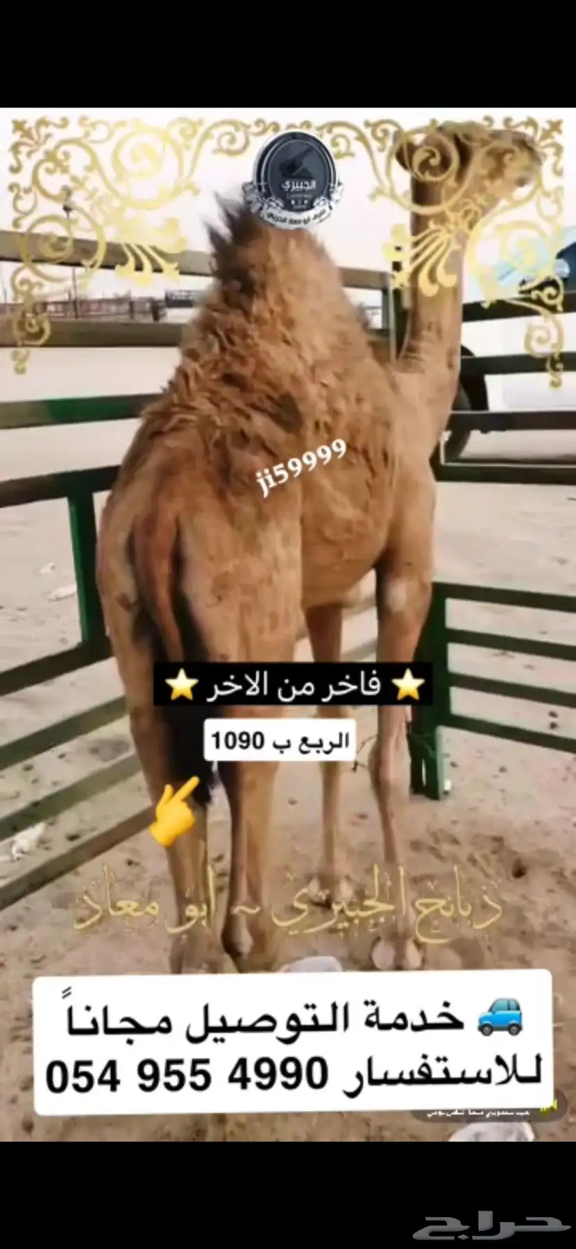 حوار فاخر من الاخر 2