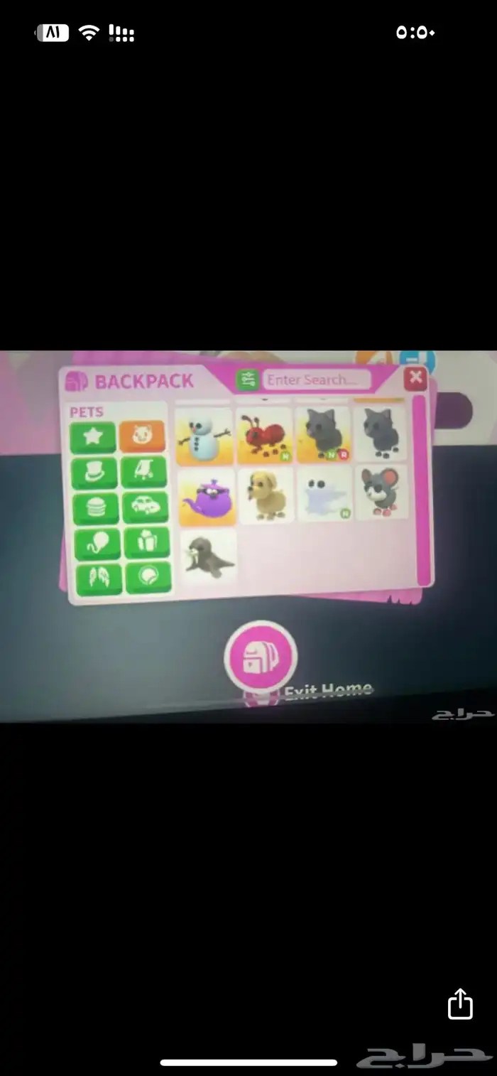 حيوانات ادوبت مي للبيع 3