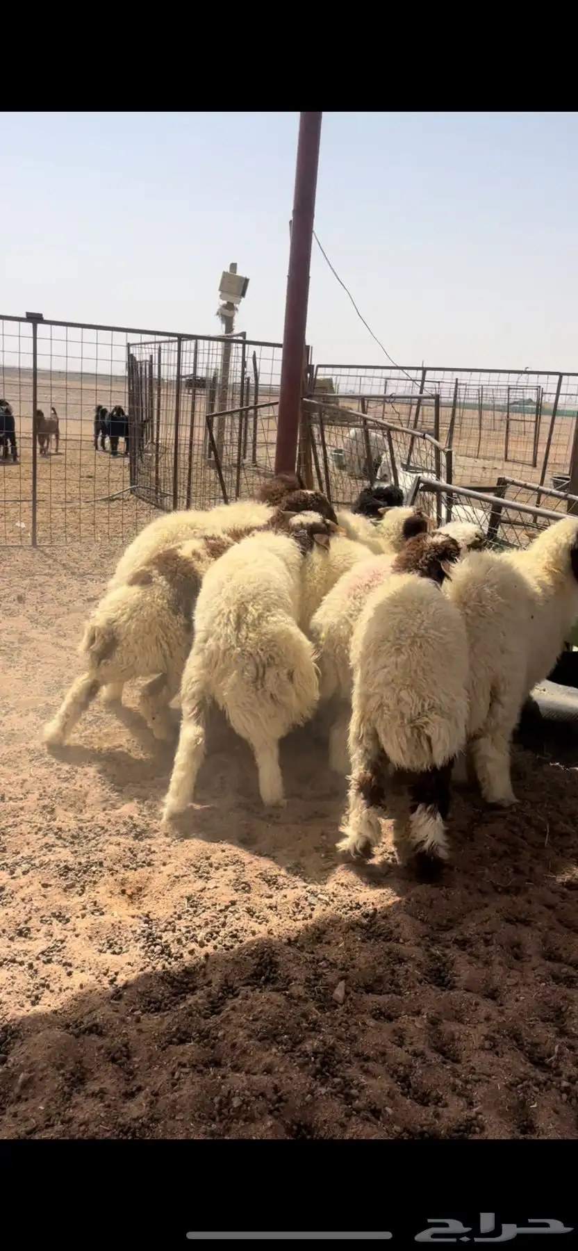 بهم نعيم مغلق 3