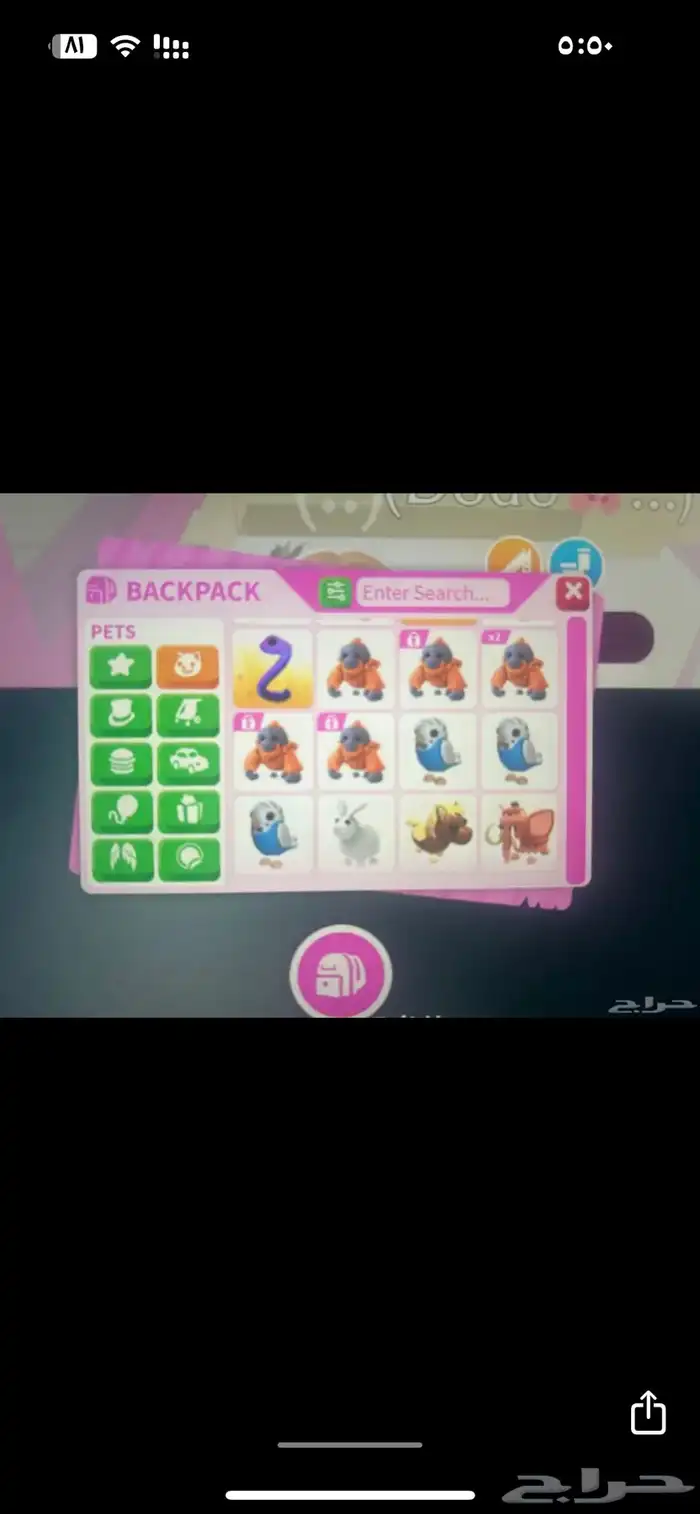 حيوانات ادوبت مي للبيع 2