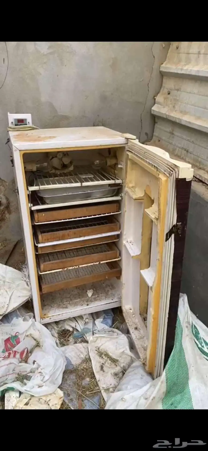 فقاسة بيض 0