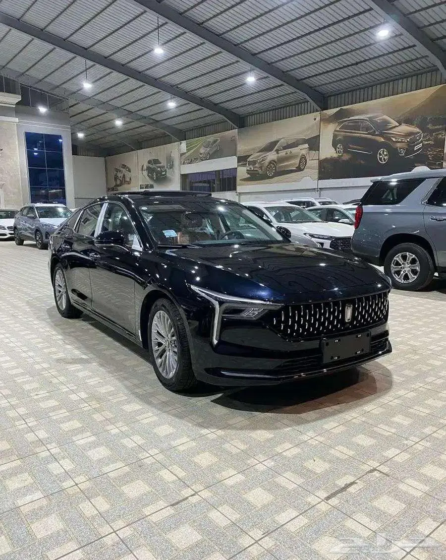 فاو بيستون B70 كمفورت 2025 5