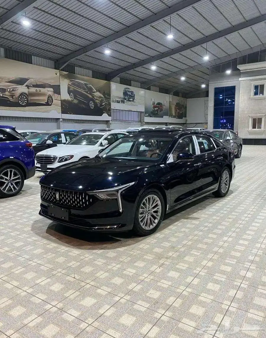 فاو بيستون B70 كمفورت 2025 4