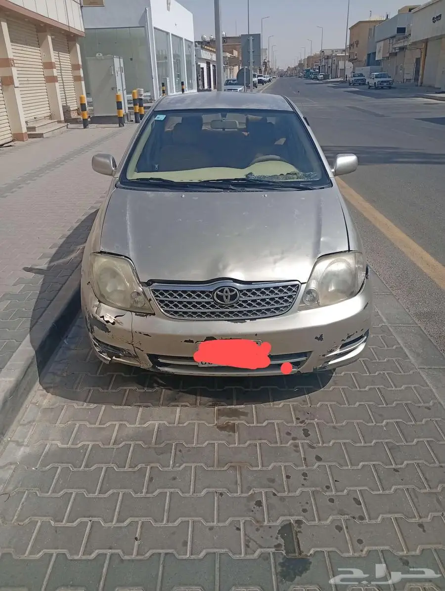 حفر الباطن 4